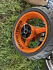 Thumbnail of IMG_1846.jpg