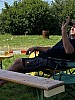 Thumbnail of IMG_1882.jpg