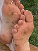 Thumbnail of IMG_1888.jpg