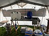 Thumbnail of IMG_1940.jpg