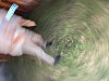 Thumbnail of IMG_1994.jpg
