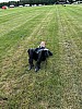 Thumbnail of IMG_4110.jpg