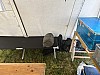 Thumbnail of IMG_4146.jpg