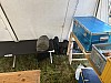 Thumbnail of IMG_4147.jpg