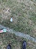 Thumbnail of IMG_4229.jpg