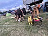 Thumbnail of IMG_4249.jpg