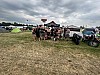 Thumbnail of IMG_4290.jpg