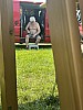 Thumbnail of IMG_7197.jpg