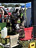 Thumbnail of IMG_7226.jpg